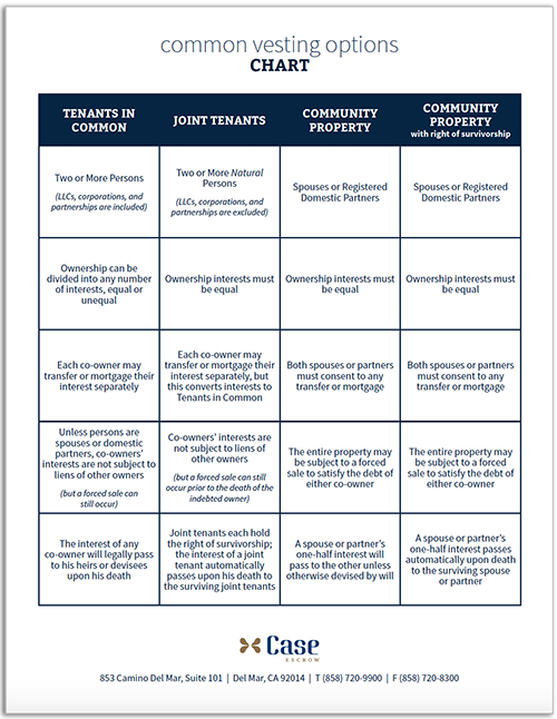 Common Vesting Options Thumbnail